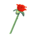 Rose Throw Toy
