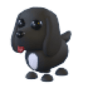 Royal Palace Spaniel