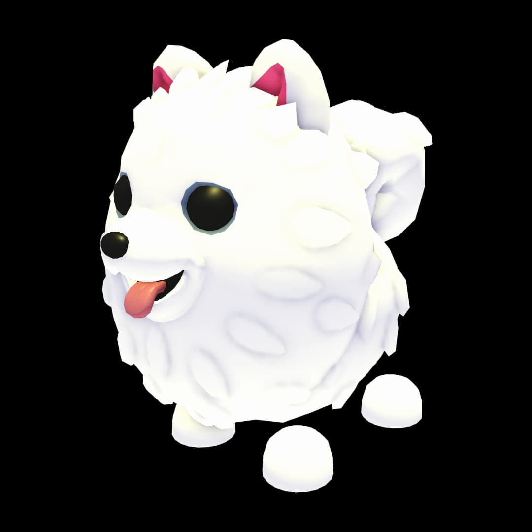 Samoyed