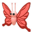 Scarlet Butterfly