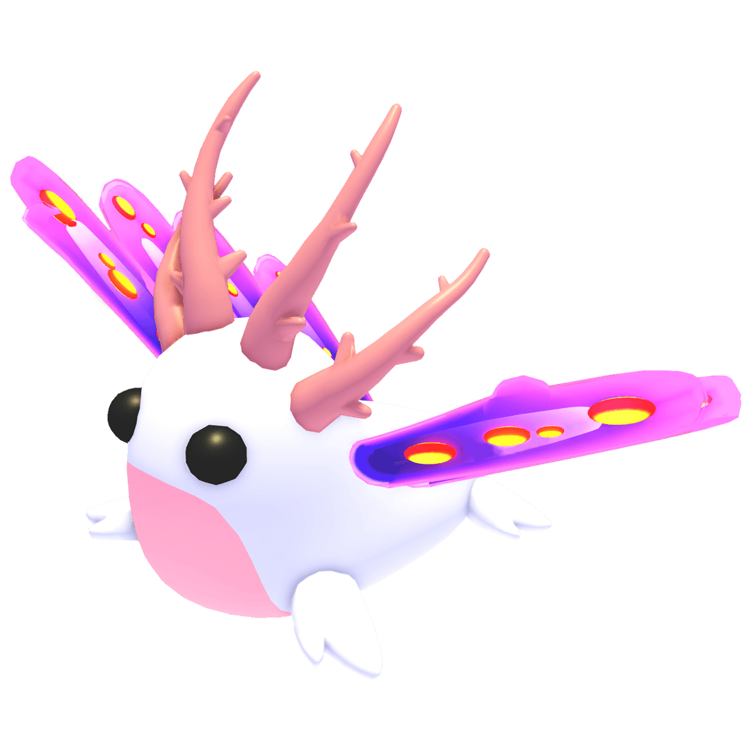 Sea Slug