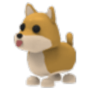 Shiba Inu