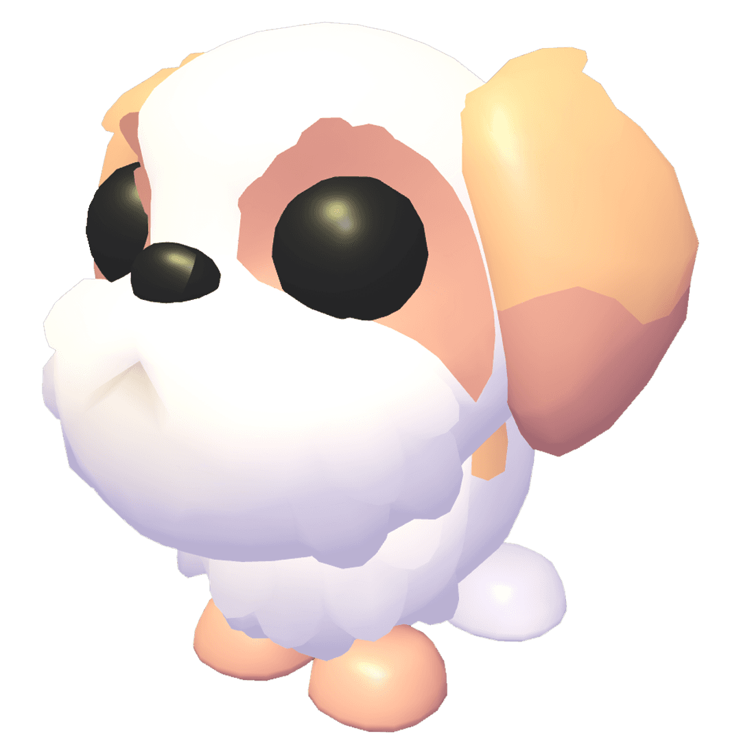 Shih Tzu