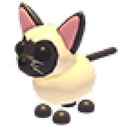Siamese Cat