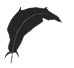 Slimingo Feather Teleporter