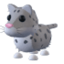 Snow Leopard