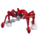 Spider Crab
