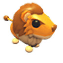 Steppe Lion
