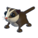 Sugar Glider