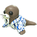Summer Walrus