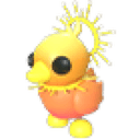 Sunrise Duckling