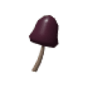 Tall Mushroom