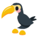 Toucan Sticker