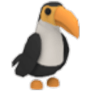 Toucan