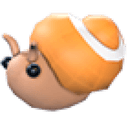 Trapdoor Snail