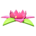 Tropical Flower