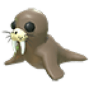 Walrus
