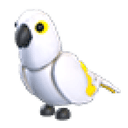 White Amazon