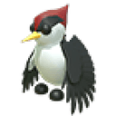 Woodpecker