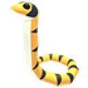 Yellow-Lipped Sea Krait
