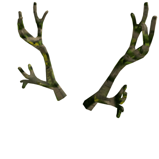 Wanwood Antlers