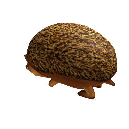 Hedgehog Friend