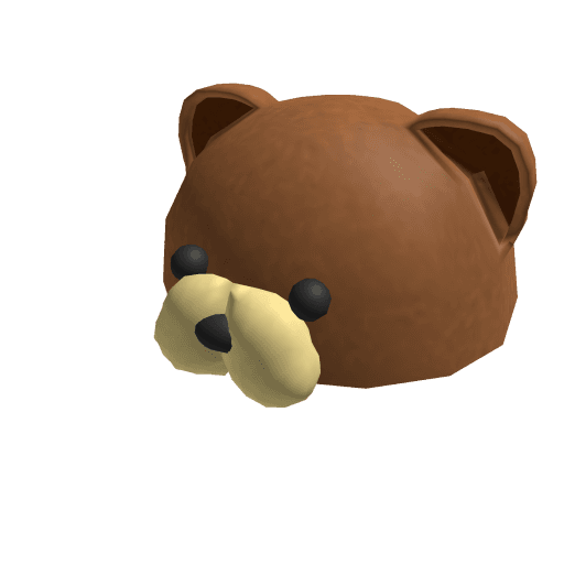 Teddy Bear Hat