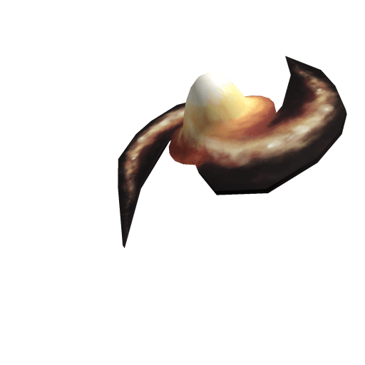 Egg of Space