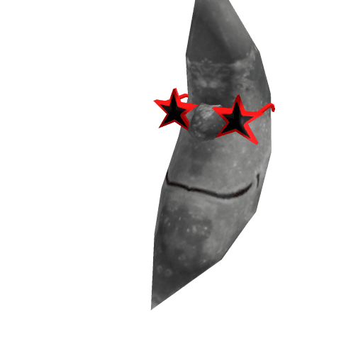 Moon Seeing Stars