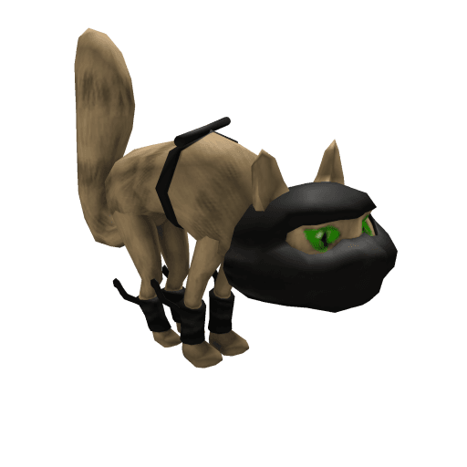 DarkAge Ninjas: Ninja Kitteh