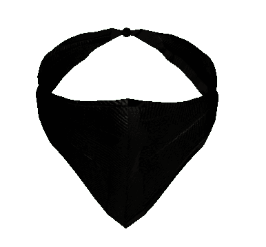 Bandana Black