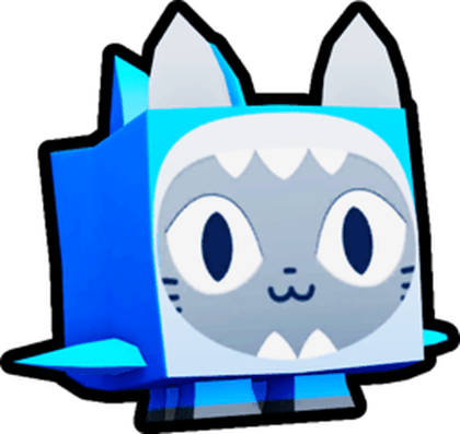 Shark Cat