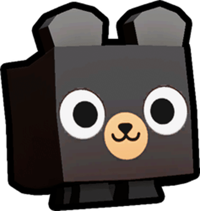 Black Bear