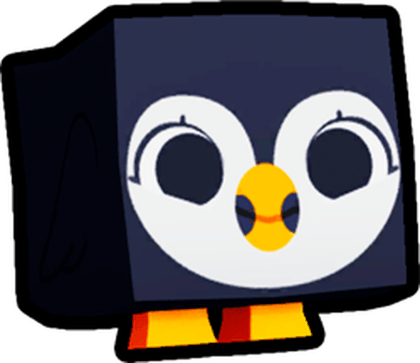 Puffin