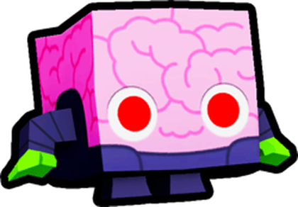 Brain