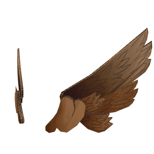 Recycled Wings