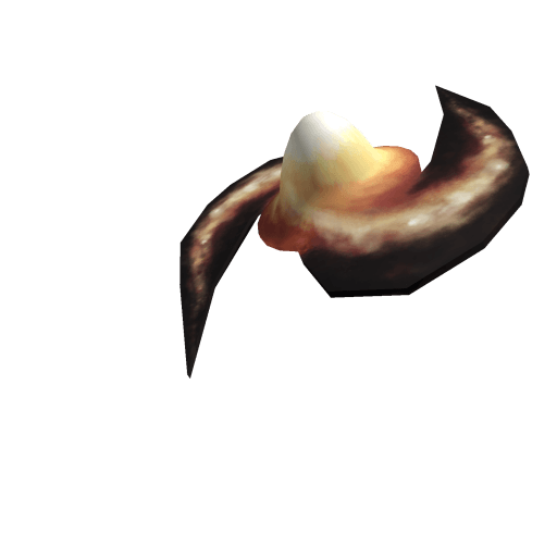 Egg of Space