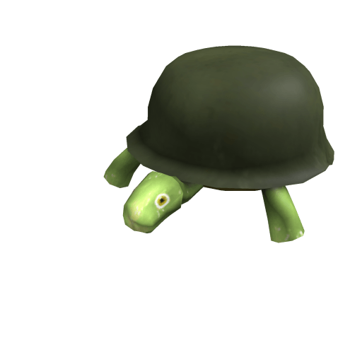 General Turtle