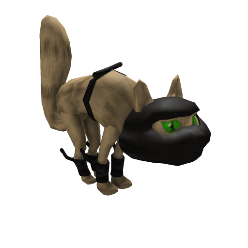 DarkAge Ninjas: Ninja Kitteh