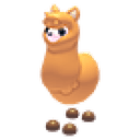 Alpaca