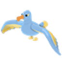 Diamond Albatross