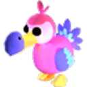 Dodo