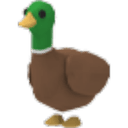 Drake
