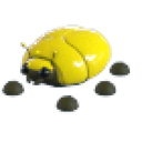 Giant Gold Scarab