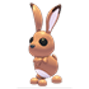 Hare