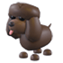 Irish Water Spaniel
