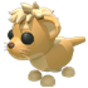 Lion Cub