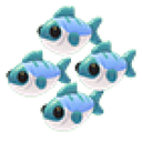 Many Mackerel