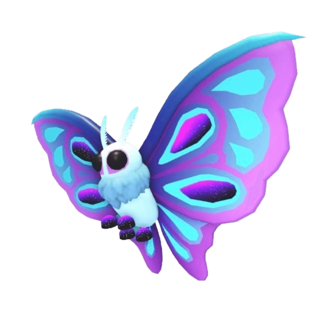 Moonlight Moth
