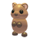 Quokka